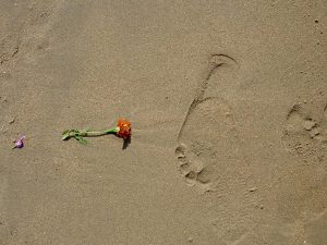 Flower and Footprint