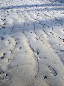 Weymouth Beach